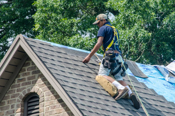 Best Metal Roofing Contractor  in Wurtland, KY